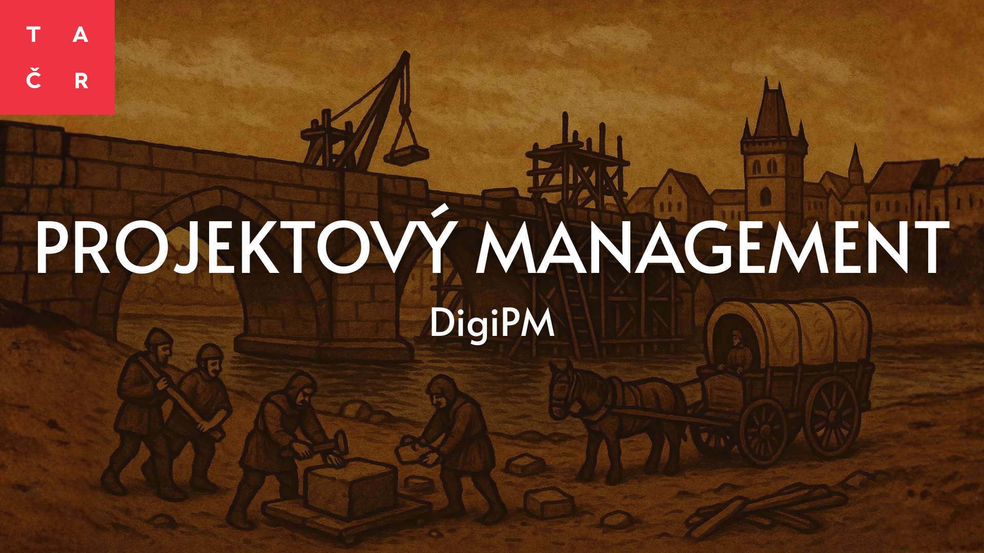 Projektový management - DigiPM DigiPM